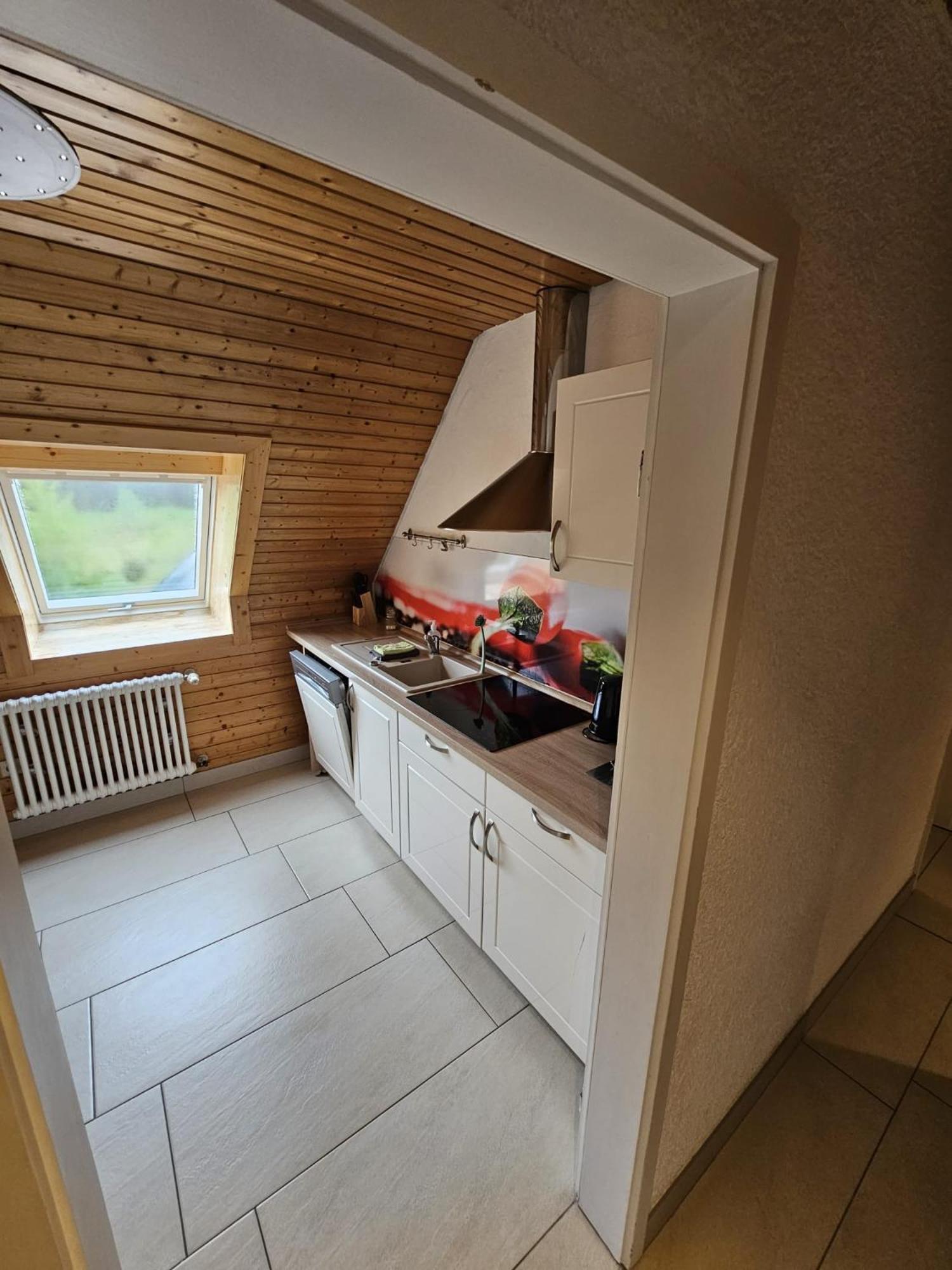 Apartmán Stuub Jostal Titisee-Neustadt Exteriér fotografie